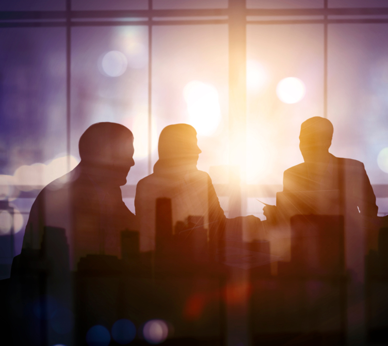 officemeet Businesspeople discussing plans in a sunlit office
